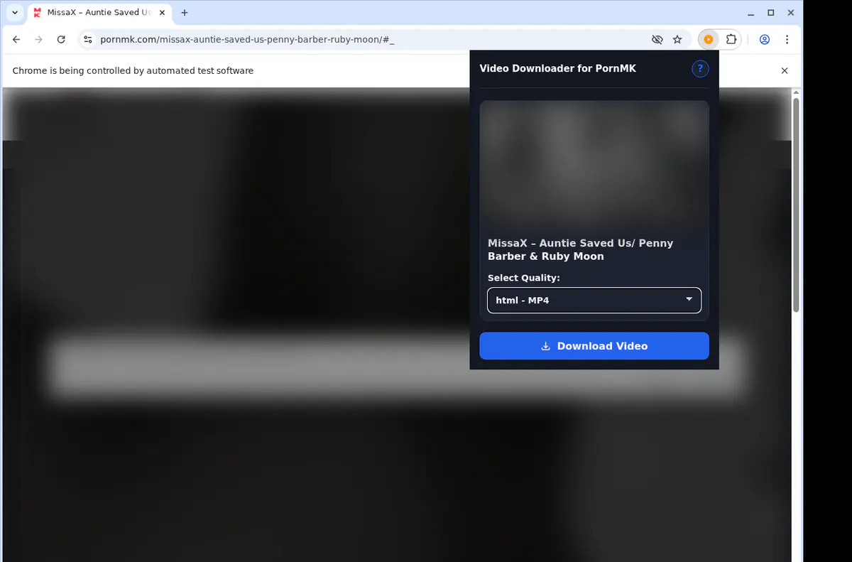 Pornmk Video Downloader browser extension screenshot 3