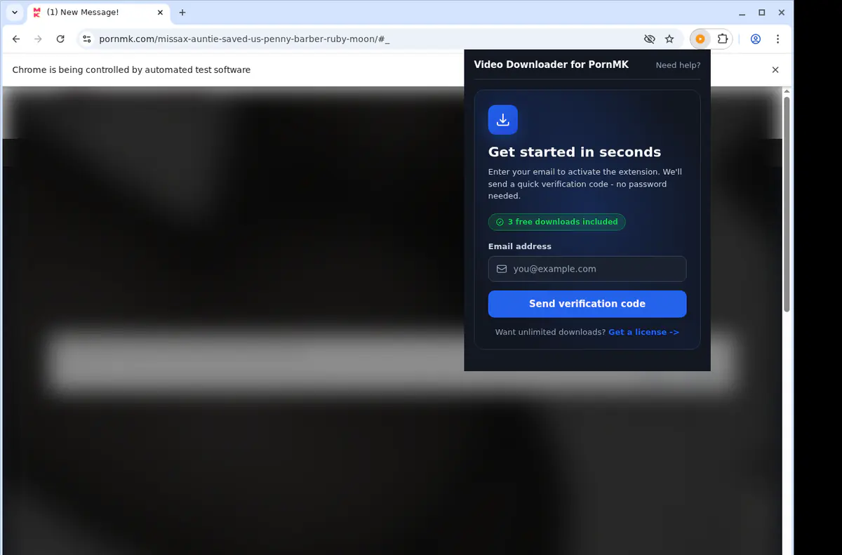 Pornmk Video Downloader browser extension screenshot 5